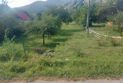 Spațiu comercial, în Achimețești - 7