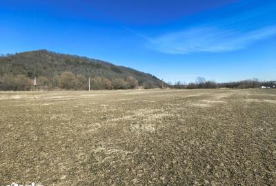 Teren de 2800 mp, în Turnu Roșu - 6