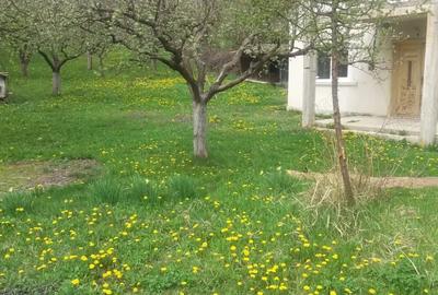 Casă cu Teren 3780 Mp în Hulubești - 20