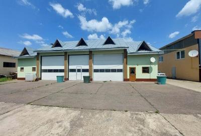 De inchiriat De inchiriat - 1