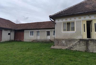 Casă cu Teren 4500 Mp în Ștei - 5