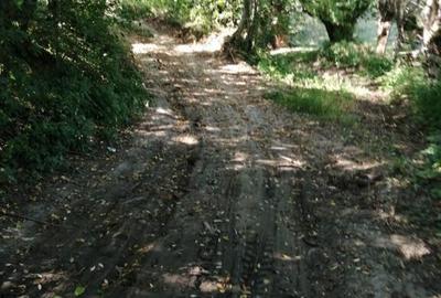 Teren Extravilan Cacica 1600mp - 3