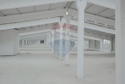 Spațiu industrial, de 5,050 mp, în Palota - 11