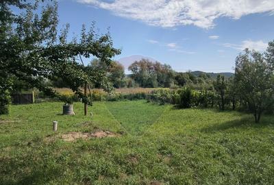 Casa de vacan?a in sat sasesc, Moarda? jude?u... - 1