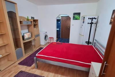 Garsoniera Spatioasa zona Blascovici - 9