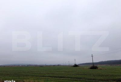 Spațiu comercial, în Ișalnița - 6