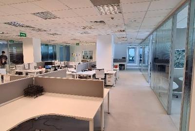 S Park, Presei Libere, 320 - 6115 mp  0% comision! S Park, Presei Libere, 320 - 6115 mp  0% comision! - 6