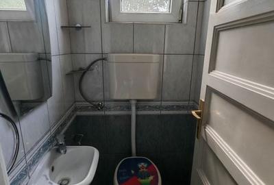 Vilă interbelică - Casin / Domenii - ideală clinica/ resedinta/ sediu / ambasada - 23
