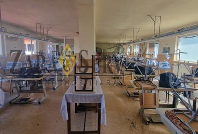 Spațiu de închiriat – Etaj 1 | 235 mp | Pretabil activități sportive / diverse - 6