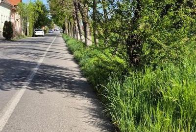Casă cu 4 camere în Central - 2