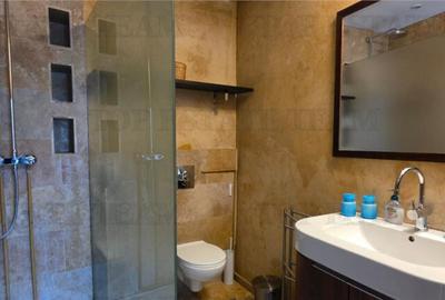 Casa individuala de - zona Domenii - 18