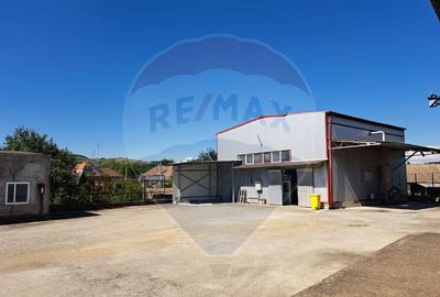 Spa?iu industrial de vanzare in Sangeorgiu de Padure... - 7