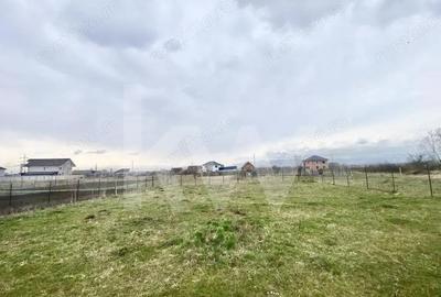 Teren de 500 mp, în Veterani - 4