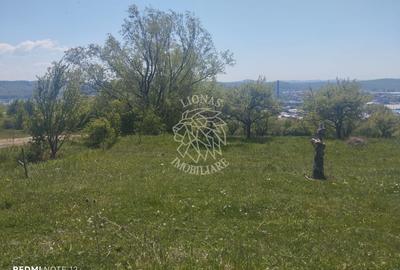 Teren agricol extravilan de 600 mp, în Sărata - 1