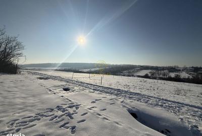 Teren de 1439 mp, în Viile Satu Mare