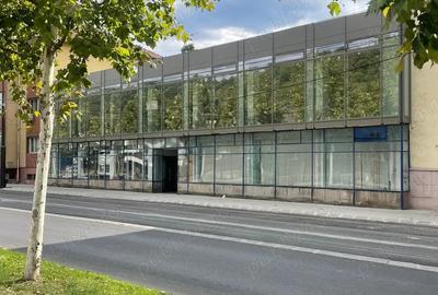 Spatiu comercial de inchiriat - 2