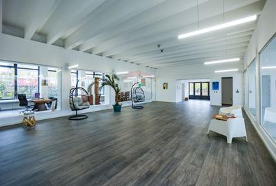 Spațiu industrial, de 800 mp, în Sud-Est - 60