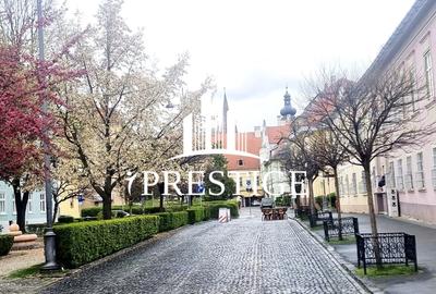 Apartament cu 3 camere, mobilat în Ultracentral - 2