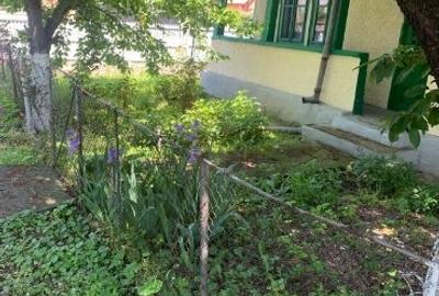 Teren de 1970 mp, în Puchenii Mari - 3