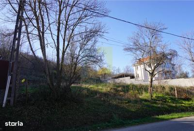 Spațiu comercial, în Leamna de Jos - 5