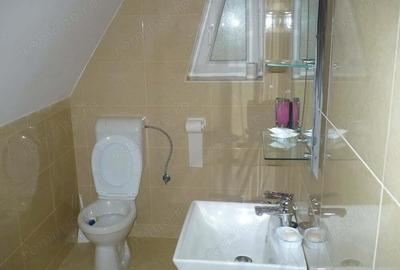 Predeal-Vila de vacanta pretabil pensiune - 1