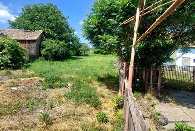 Casa 4 camere cu teren de 1429mp spre vanzare in Altina - 6