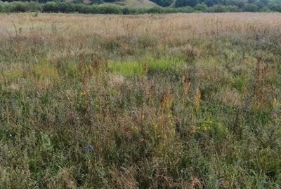 Teren de 1100 mp, în Exterior Vest - 3