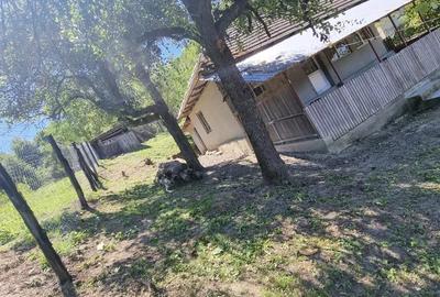 Casă cu 1 camere cu Teren 15000 Mp în Central - 8