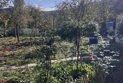 Casă cu 3 camere cu Teren 300 Mp în Central - 1