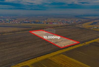 Teren 10,000mp Bod/Extravilan - 3