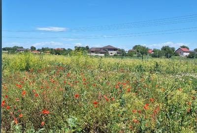 Teren Construcții intravilan de 500 mp, în Tărtășești - 6