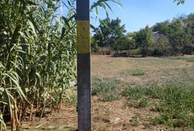 Casă cu 3 camere cu Teren 4429 Mp în Malcoci - 1