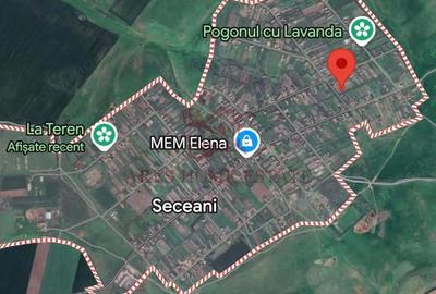 Teren de 1855 mp, în Seceani - 1