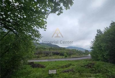 Teren de 2842 mp, în Vest - 8