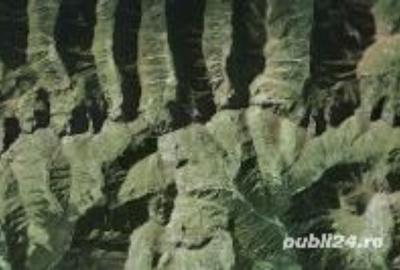 Pasune 32000 mp in Masivul Rentea, Sacele-Brasov - 2