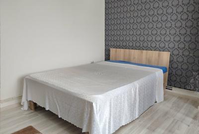 Garsonieră în Craiovița Nouă - 2