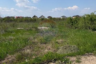 Teren Construcții extravilan de 2500 mp, în Odăi - 4