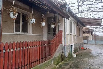 Casă cu 3 camere cu Teren 1013 Mp în Bogei - 3