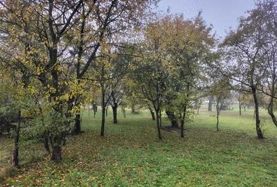 Casă cu 4 camere în Șaula - 2