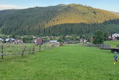 Teren de Vânzare în Bucovina ! OPORTUNITATE - 4