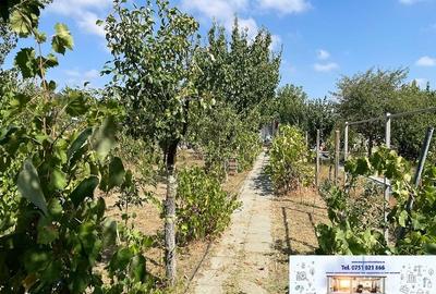 Casa cu teren proprietate, Sat Traian, Jud. Galati - 16