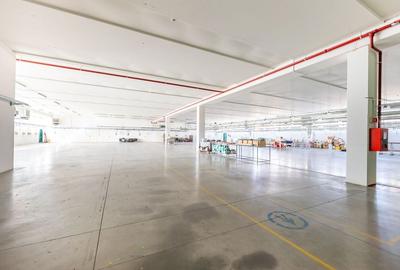 Hală producție în localitatea Sântana Comision 0% la cumparare - 2