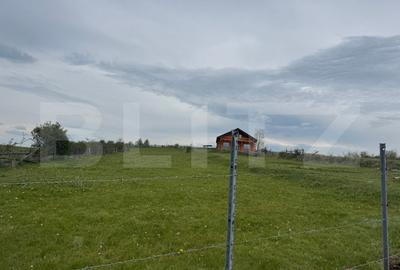 Casa 5 camere, teren 4740 mp, 120 mp, Marisel - 3