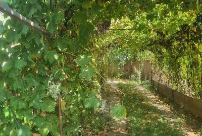 Casă cu 3 camere în Drănic - 8