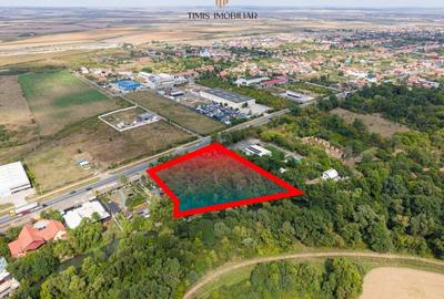 Teren 7.500 mp cu FS 91 m la E70 si Bega - ideal dezvoltare servicii - 9