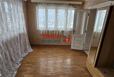 Casă cu 8 camere cu Teren 863 Mp în Meteș - 9