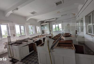 Casă cu 5 camere cu Teren 1216 Mp în Central - 6