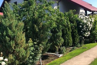 Vila - parter + mansarda -   Sendreni,  jud. Galati - 10