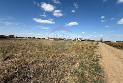 Teren agricol intravilan de 5000 mp, în Săbăreni - 3