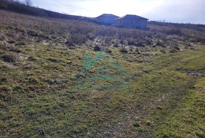 Oportunitate de investitie! Teren intravilan de vanzare in zona lacului Chinteni - 6